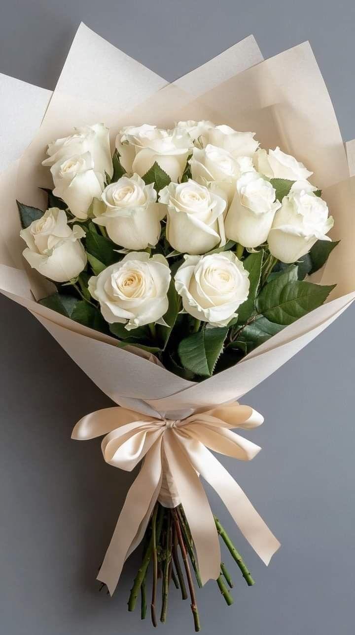 Morning Dew's Radiance: Freshness in Petals Display